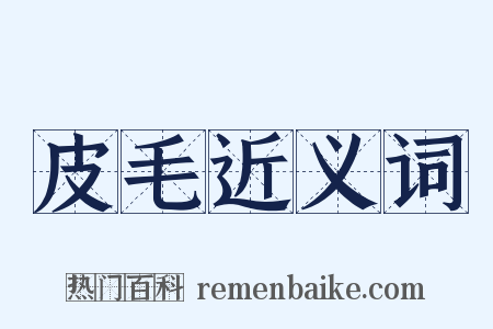 皮毛近义词是什么意思的图片